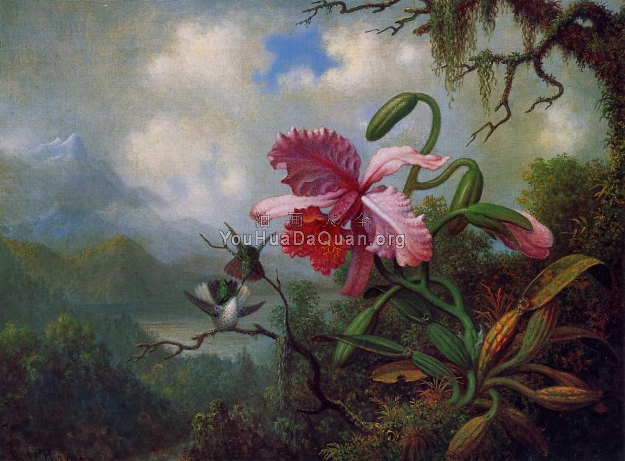 Orchid and Hummingbirds near a Mountain Lake - 马丁·约翰逊·赫德